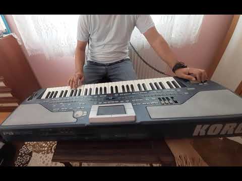 korg pa 800 erik dalı