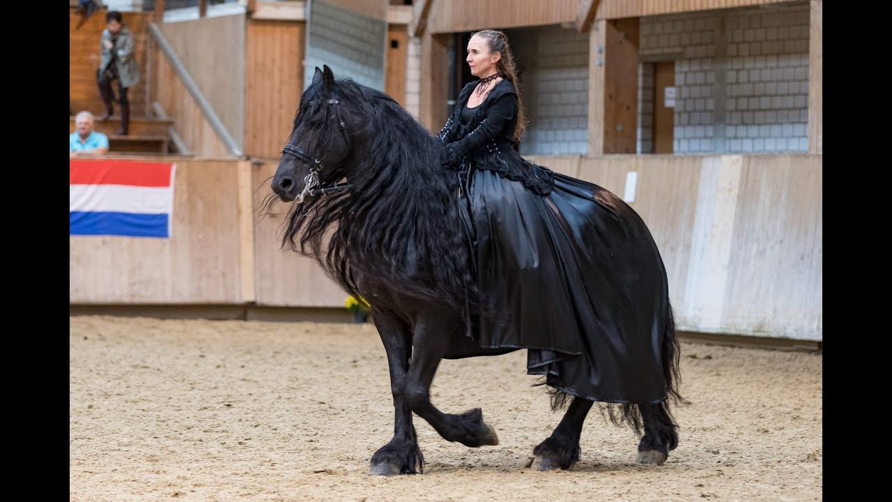 Friesenshow Fehraltorf 2017: Pas-de-Deux Mirjam Hitz