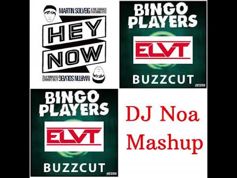 Hey Now Buzzcut -  Bingo Players x Martin Solveig (DJ Noa Mashup)
