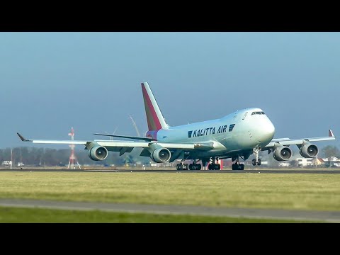 LIVE: More Morning Rush Arrivals at Amsterdam Schiphol Airport | Jan 24, 2026
