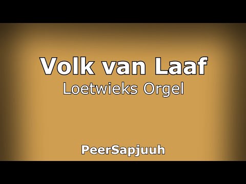 Loetwieks Orgel - Volk van Laaf | Efteling muziek
