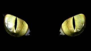 balmoral - dj fred - 1996 - belgium