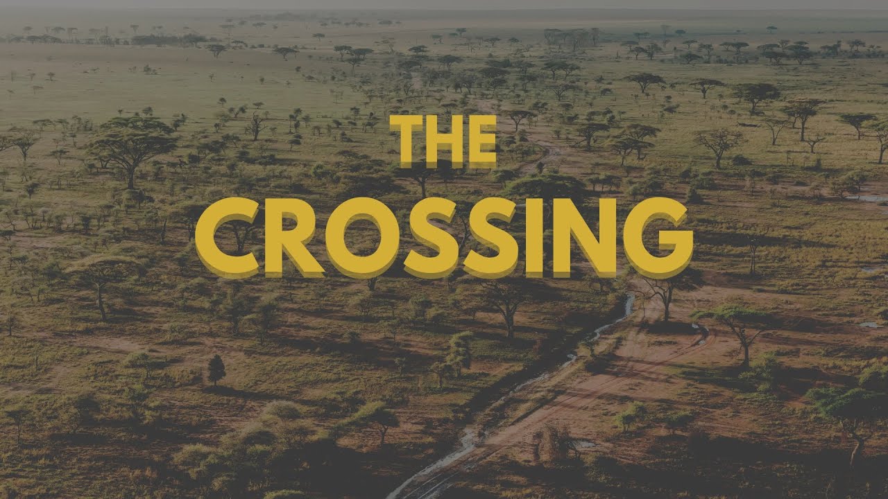 The Crossing