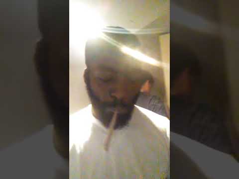 Pes blizzy Skottie babies