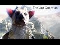 The Last Guardian : A Primeira Meia Hora
