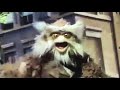 Sesame Street Hoots Sings The Birdcall Boogie