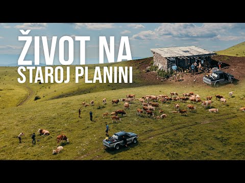 Život u NAPUŠTENOJ mlekari na STAROJ PLANINI