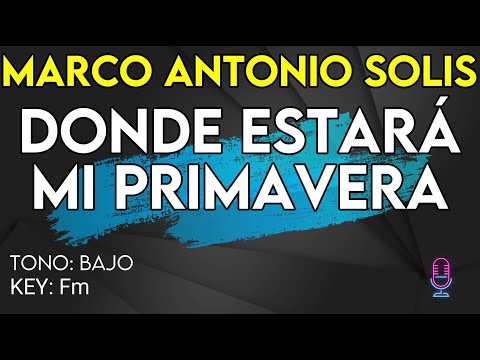 Marco Antonio Solís - Dónde Estará Mi Primavera - Karaoke Instrumental - Bajo