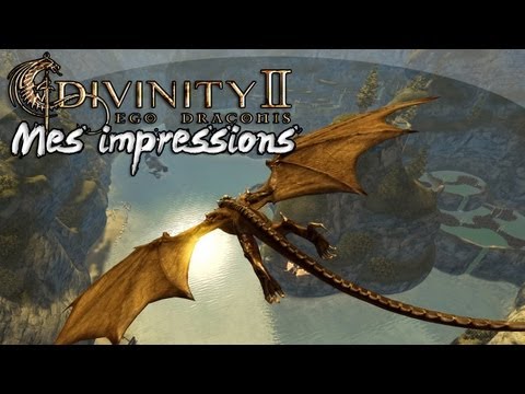 divinity ii - ego draconis pc trainer