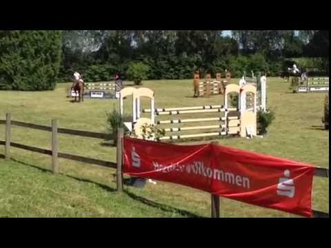 Canturano x Acorado x Lord