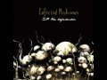 Infected Mushroom   Cities Of The Future