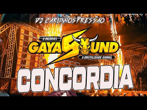 GAYA SOUND - CONCORDIA DO PARÁ - DJ CARLINHOS PRESSÃO
