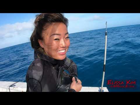 -POPPIN BANDS- Top Shots 2020 SPEARFISHING Compilation