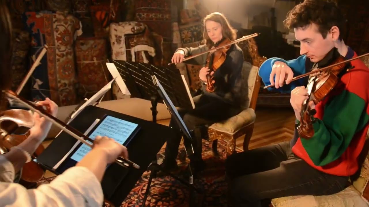 Promotional video thumbnail 4 for Windy City Strings