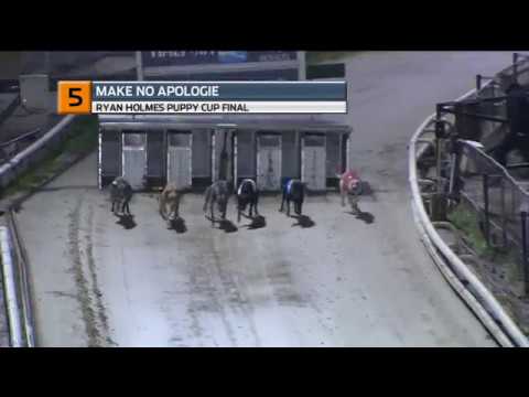 2019 RYAN HOLMES PUPPY CUP FINAL - T5 MAKE NO APOLOGIE