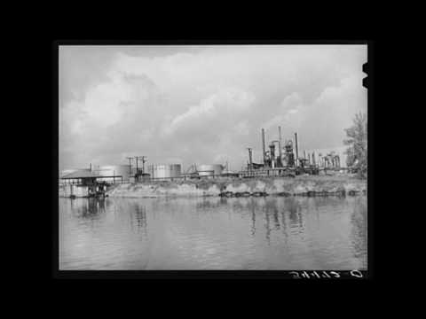 American Folk Music (Southern): Frail Wildwood Flower