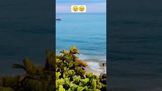 Download lagu #music #bollywood #dj #remix Song#shorts. mp3