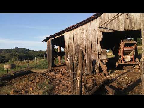 Propriedade rural raiz em mato queimado município de São josé do Inhacorá/RS
