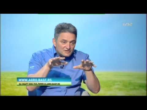 BASF - Oziris spektakularan novi fungicid za psenicu