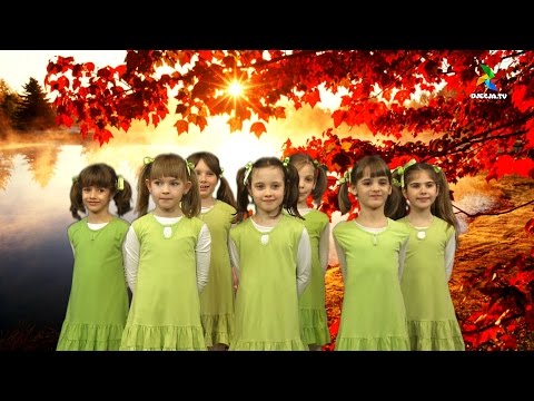 KIKIĆI - 12 mjeseci