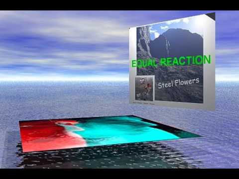 Equal Reaction - Steel Flowers - For Joe (AUDIO ONLY)