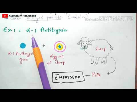 Tissue engineering Technique Procedure Bio science