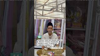 Download lagu BONGKAR Rahasiah MURAI BATU ROCKY JADI INCARAN BOS BOS 🔥😱✅ #eps03  #muraibatu #kicaumania #burung mp3