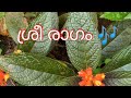 ശ്രീരാഗത്തിൽ പൊതിഞ്ഞ ഗാനങ്ങൾ Sreeragam 7notesMus