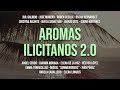 Producci&oacute;n Aromas ilicitanos 2.0