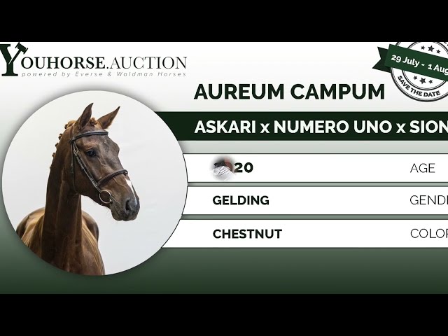 Aureum Campum