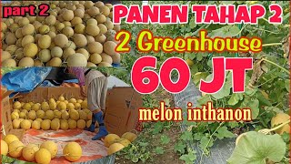 Download lagu Panen melon exclusive inthanon tahap ke 2 di Greenhouse ManDiaz Chanel mp3