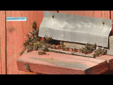 Депутаты Палаты Представителей посетили Полесский радиационно-экологический заповедник видео