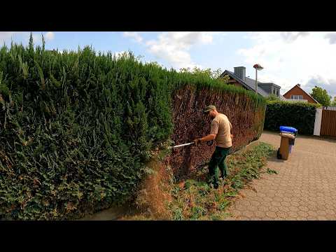 I Simply DESTROYED The HEDGE on Neighbor's Side at His Request