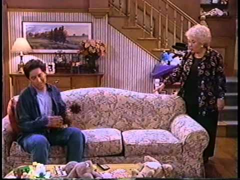 Everybody Loves Raymond - Ray Disciplines Ally