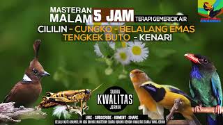 Download lagu REQUEST MASTERING #20...DURASI 5 JAM MASTERAN MALAM CILILIN BELALANG EMAS KENARI CUNGKO TENGKEK BUTO mp3