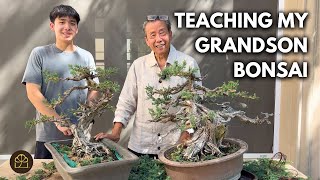 Tips on Pruning a Juniper: Step-By-Step Walkthrough with my Grandson