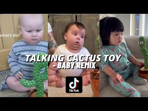 Talking Cactus Toy (BABY) - [Tiktok Compilation]