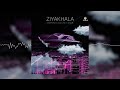 DJ Maphorisa x Visca x Roki x Leon Lee - Ziyakhala (Audio Visualizer)