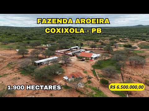 🌾 FAZENDA AROEIRA – UMA VERDADEIRA AGROPECUÁRIA NO CARIRI PARAIBANO 🌾