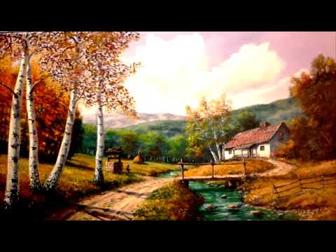 Bizznisman - Priča o Šoši