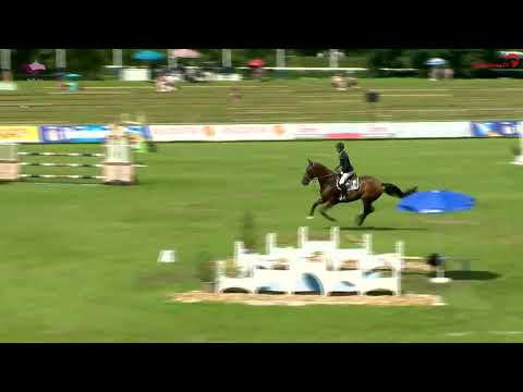 Chacco Chacco v. Chacco-Blue - Stakkato