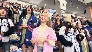 岳東華應援 #12強 2024.11.21 東京巨蛋外野啦啦隊應援（委內瑞拉戰） #cheerleader #台湾チア＃棒球＃中華隊