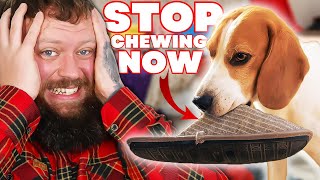 How To Stop Your Dog Biting And Chewing Everything!