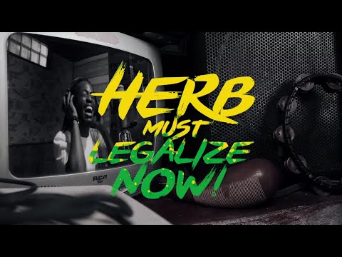Mystic Revealers & Friends - Herb Must Legalize Now (420 High-Grade Remix) | Official Music Video