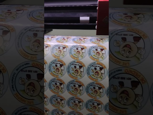 Vídeo relacionado con Biología Pegatinas Pack 110 PCS |Pegatinas para automóvil, computadora portátil, botellas de agua, pegatinas para adolescentes Calcomanías de vinilo lindas