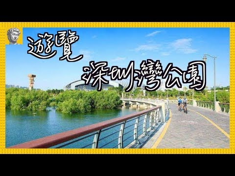 【深圳一天遊】深圳灣公園｜流花山賞花．紅樹林觀鳥．深圳灣口岸過關．踏單車．休閑散步 [4K][字幕]