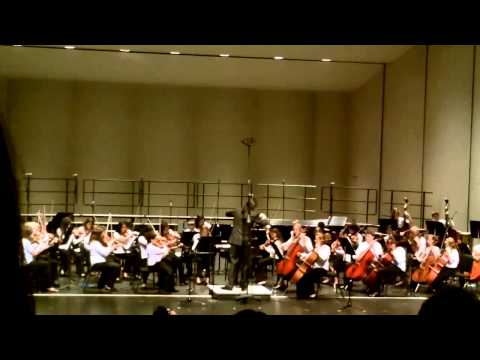 2013 Pinellas All County Middle School Orchestra performing 
