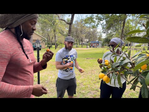 Spring  Garden  Tour 2024