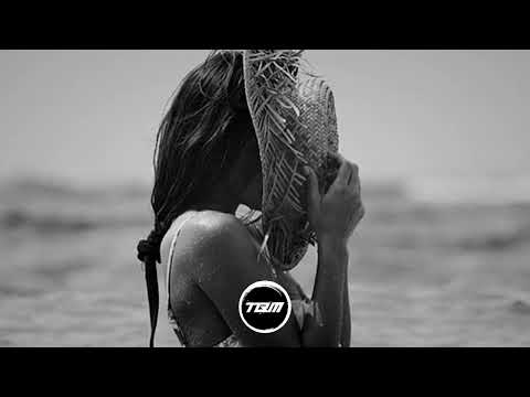 Andre Rizo & Dj Criswell - Serenata (Radio edit)