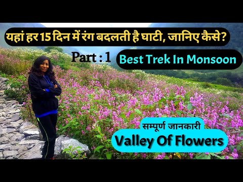 Valley Of Flowers Trek | P 1| Phoolon ki Ghati Kaise Jaye Sampurn Jankari | Uttarakhand | Itinerary